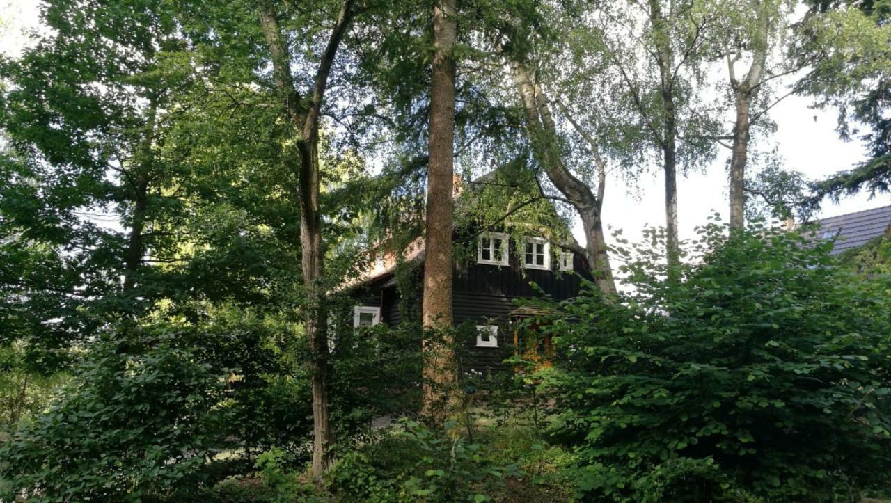 Willa "Haus Am Knobben" Uslar Zewnętrze zdjęcie